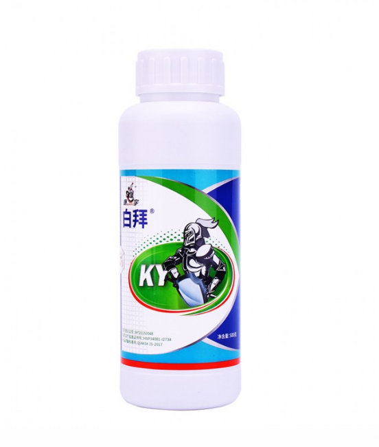 1717646541866001.png 白拜.png