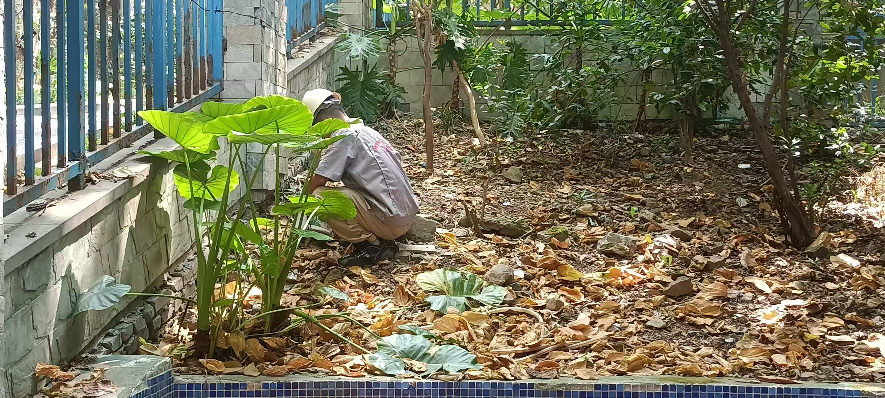 觀府2024年9月14日 (2).jpg