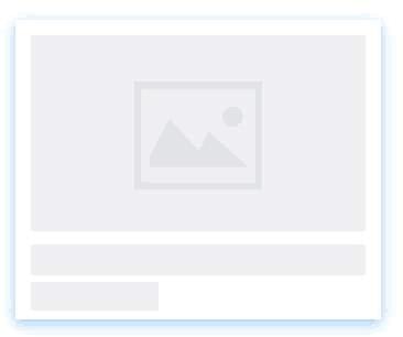 白蟻的行為學(xué)