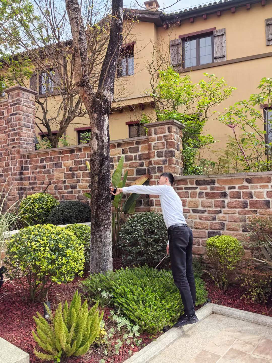 白蟻高發(fā)季節(jié)到了，您預(yù)防了嗎？