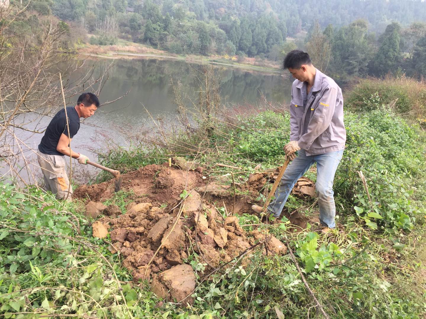 水庫白蟻治理現場