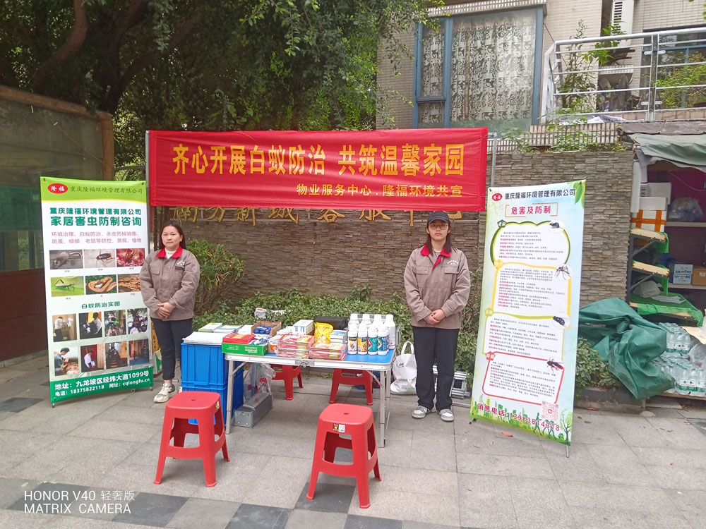 齊心開(kāi)展白蟻防治 共筑溫馨家園